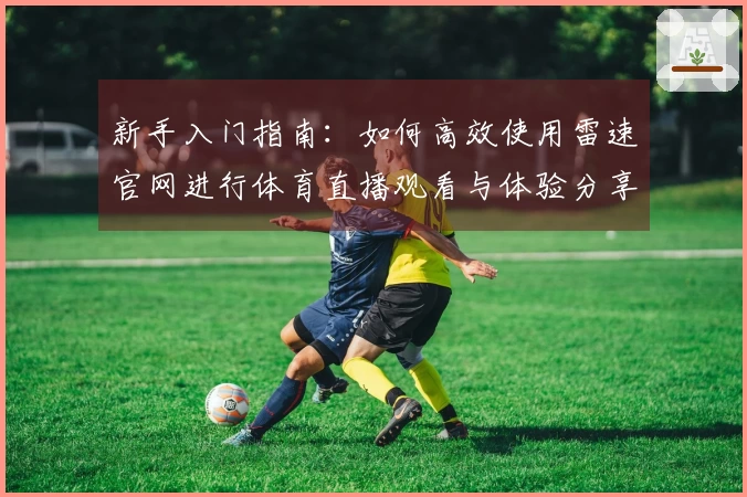 新手入门指南：如何高效使用雷速官网进行体育直播观看与体验分享