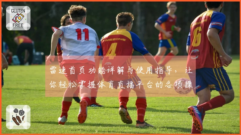 雷速首页功能详解与使用指导，让你轻松掌握体育直播平台的各项操作